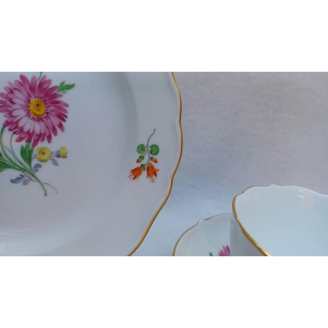 Green Vintage Porcelain Coffee and Tea Trio Set with Hand-Painted Aster Motif from Meissen, 1970, Set of 3 For Sale - Image 8 of 15
