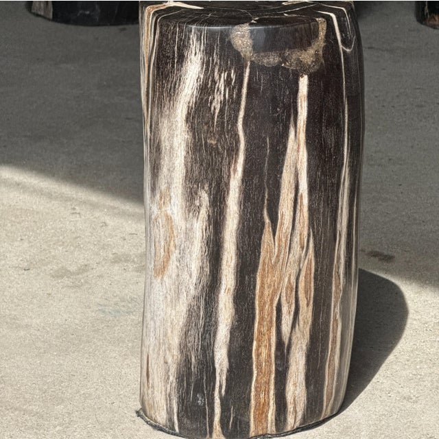 Side Table in Black Petrified Wood with White Sides and Beige Striations, 1980s For Sale - Image 15 of 18