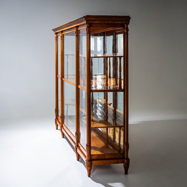 Biedermeier Display Cabinet, 1830 For Sale - Image 4 of 10