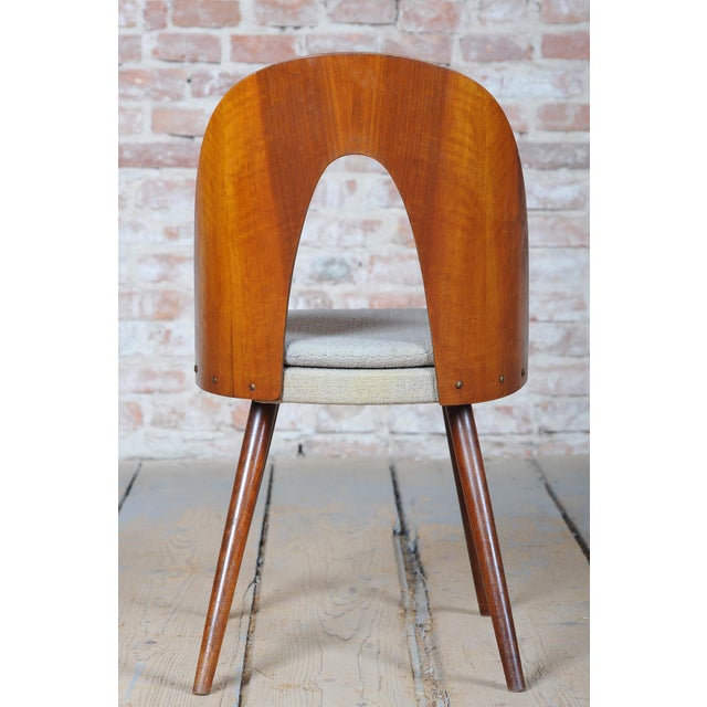 Mid-Century Chairs in Walnut attributed to Antonín Šuman, Czech, 1950s, Set of 4 For Sale - Image 9 of 18