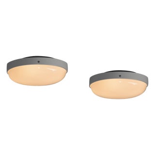 Ceiling Lamp Model 3001/40 attributed to Gino Sarfatti for Arteluce, 1950s For Sale