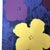 1990s After Andy Warhol "Poppy Flowers" Lithograph For Sale - Image 4 of 11