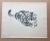 Up for sale is this vintage print from a 1943 collection by acclaimed illustrator Clare Turlay Newberry. It is matted in a...