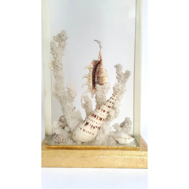 Late 20th Century Lamp Shells Seashells Lucite Aquarium & Shade For Sale - Image 5 of 9