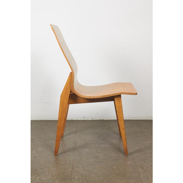 Vintage Curved Plywood Chairs, 1950s, Set of 6 For Sale - Image 18 of 18