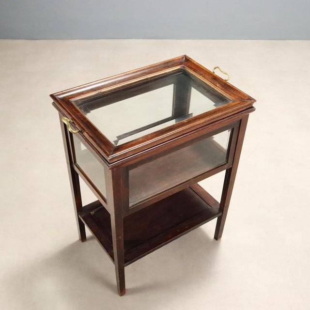 19th Century Walnut Display Table, Italy For Sale - Image 10 of 12