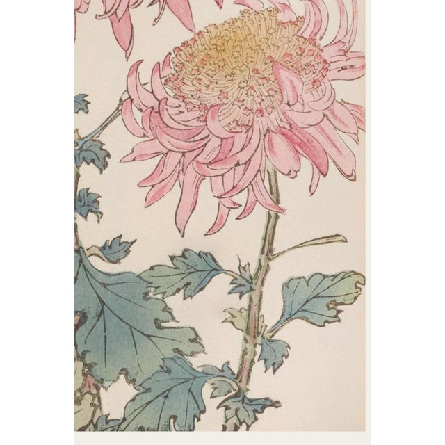 Not Yet Made - Made To Order Two Pink Chrysanthemums by Hasegawa, Vintage Japanese Botanical Art Print, 40" X 60" For Sale - Image 5 of 10