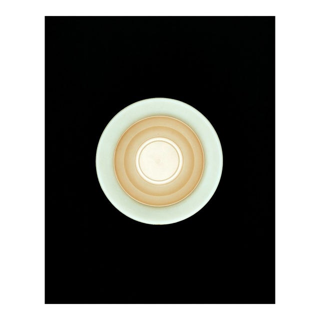 Contemporary Abstract C-Print Photography "Combination White/Cream" by Richard Caldicott For Sale