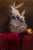 The Magic Bowl (Australia) by Shay Davis | Oil on canvas Still life with rabbits and a bowl For Sale