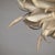 Vintage Italian Floral Ceiling Lamp, 1970s For Sale - Image 10 of 13