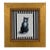 Original Black Cat Drawing on Paper in Gilt Frame For Sale