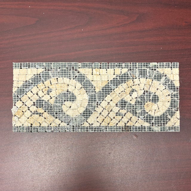 Verde Saltan Marble / Botticino Marble Polished Tours Decorative Mosaic Border For Sale - Image 4 of 4