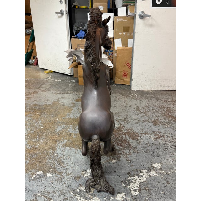 Rearing Horse Bronze Sculpture For Sale In San Francisco - Image 6 of 12
