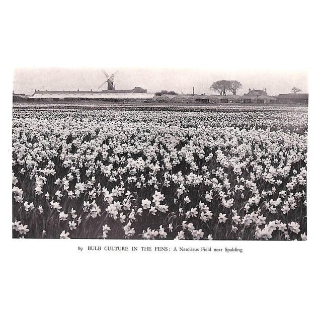 Paper "The Countryman's England" 1935 Hartley, Dorothy For Sale - Image 7 of 9