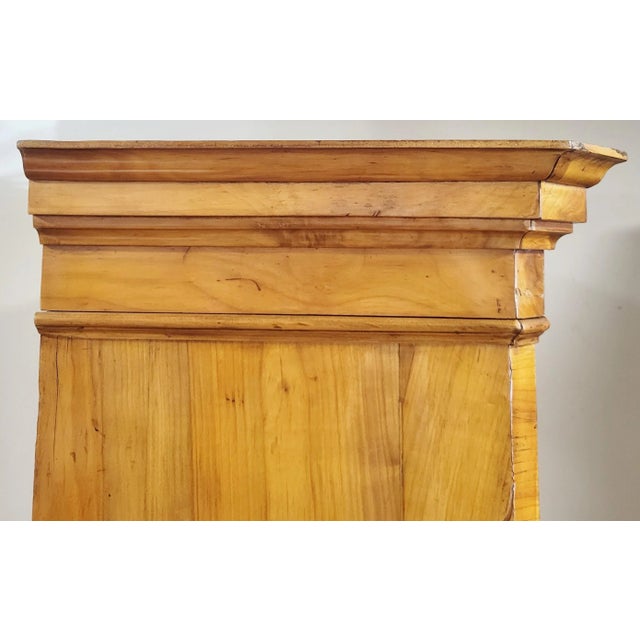 German 19th C Fruitwood Armoire Curio Cabinet Display Vitrine For Sale - Image 12 of 13