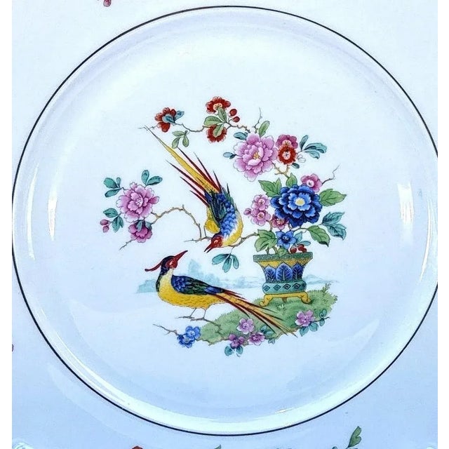 Mid Century Lamberton China Audubon Collection - Bird of Paradise - 8 Dinner Plates For Sale - Image 9 of 13