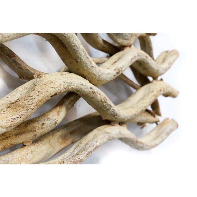 2020s Large Vine Square Grouping - Wall Art Set of 4 For Sale - Image 5 of 9