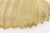 Metal Vintage Resin Shell Wall Sconces Hollywood Regency Style, Restored, 1970's For Sale - Image 7 of 13