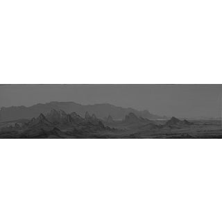 Panpandemic by Todd Carpenter | Oil on Board Landscape with mountains and a gray sky For Sale