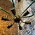 Mid-Century Modern 1960s Mid-Century Modern Green Painted Metal and Brass Italian Chandelier For Sale - Image 3 of 9
