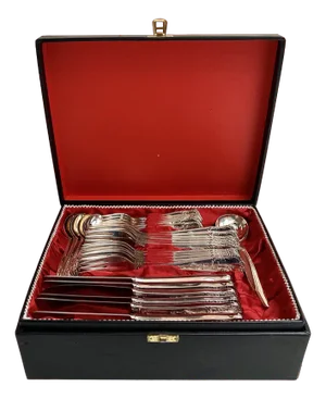 Vintage Cutlery Stainless Steel Set Solingen in Original Case, Germany, 1950s, Set of 60