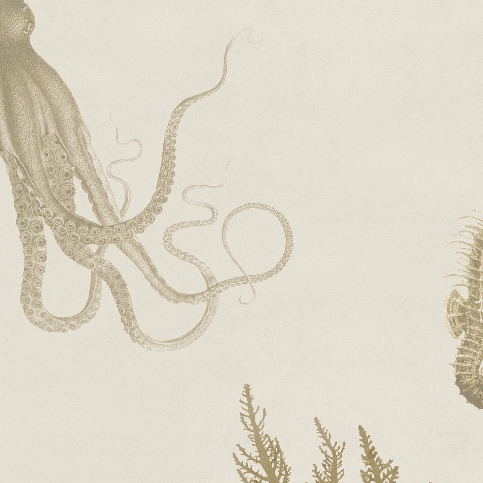 Soicher Marin Sea Life Wallpaper in Sand - 3 Panels | Chairish