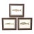 Set of 3 Original Antique Denton Framed Fish Prints C. 1900 For Sale