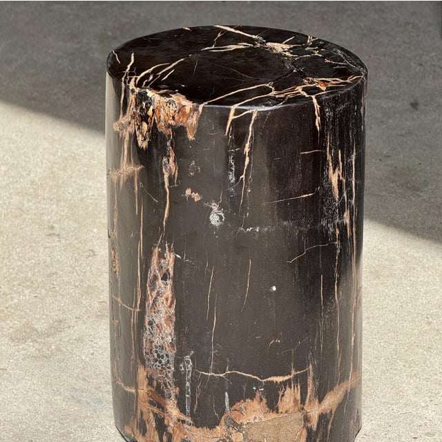Small Side Table in Black Petrified Wood with Beige Striations For Sale - Image 15 of 18