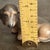 Vintage MCM Royal Copenhagen Dachshund Figurine For Sale - Image 9 of 9
