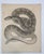 American Mid 19th Century Us Pacifc Railroad Rattlesnake Lithograph Book Plate For Sale - Image 3 of 3