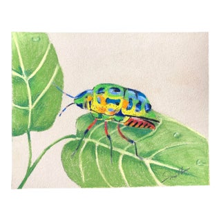 “Colorful Bug” Original Contemporary Botanical Pastel Drawing by Nancy Smith For Sale