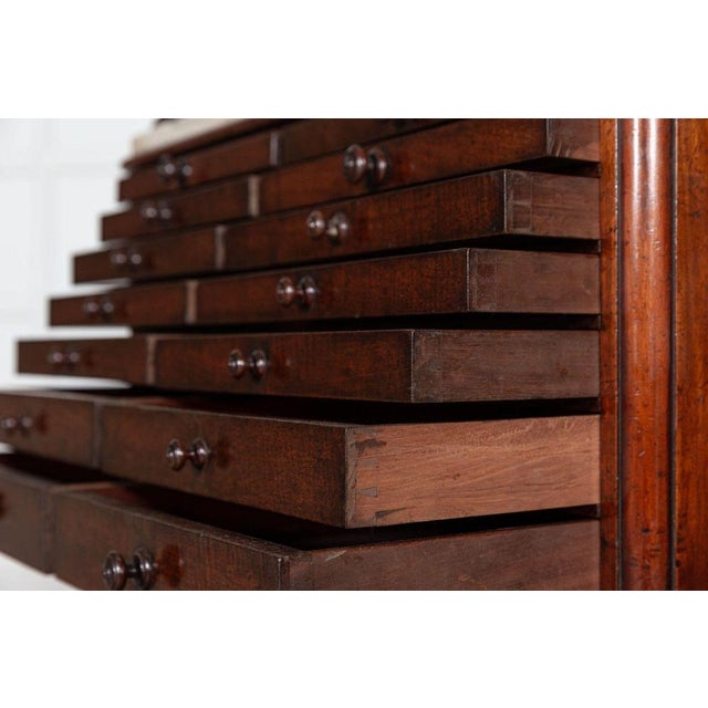 Brown 19th Century English Mahogany & Marble Top Collectors Cabinet, 1860s For Sale - Image 8 of 18