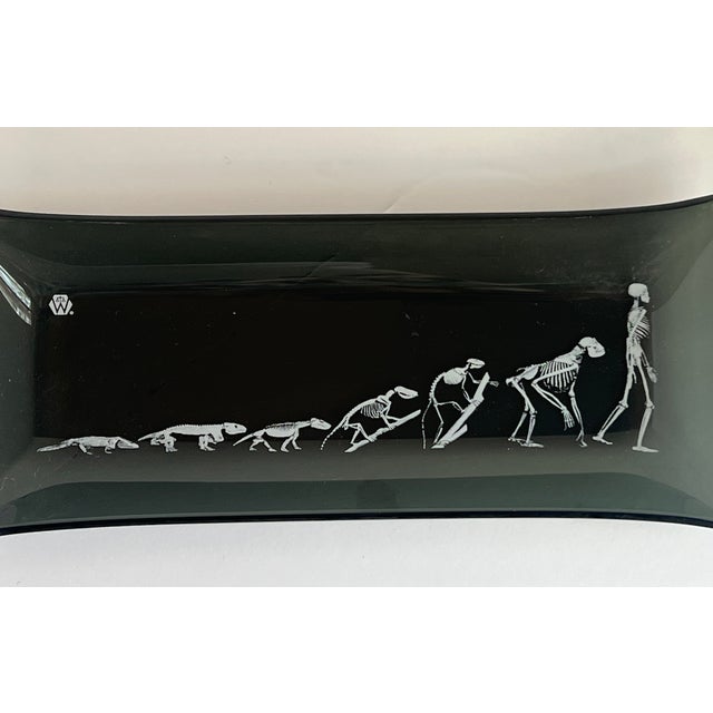 Traditional Vintage Black Smoke Glass With the Evolution of Skeletons For Sale - Image 3 of 5