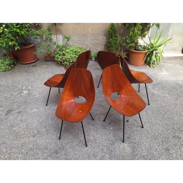 Mid-Century Modern Chairs by Vittorio Nobili for Medea, 1950s, Set of 6 For Sale - Image 3 of 14