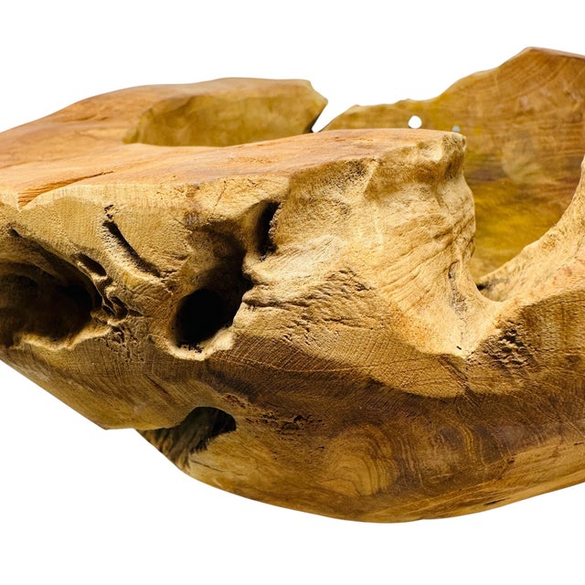 Monumental 20” Hand-Carved Teak Root Sculptural Centerpiece Bowl - 19 Lbs, Early 2000s For Sale - Image 12 of 18
