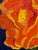 "The Oriental Poppy" is yet one more wonderful entry in the "Little Gem" series. Rendered on an "8 x 8" canvas, measuring...