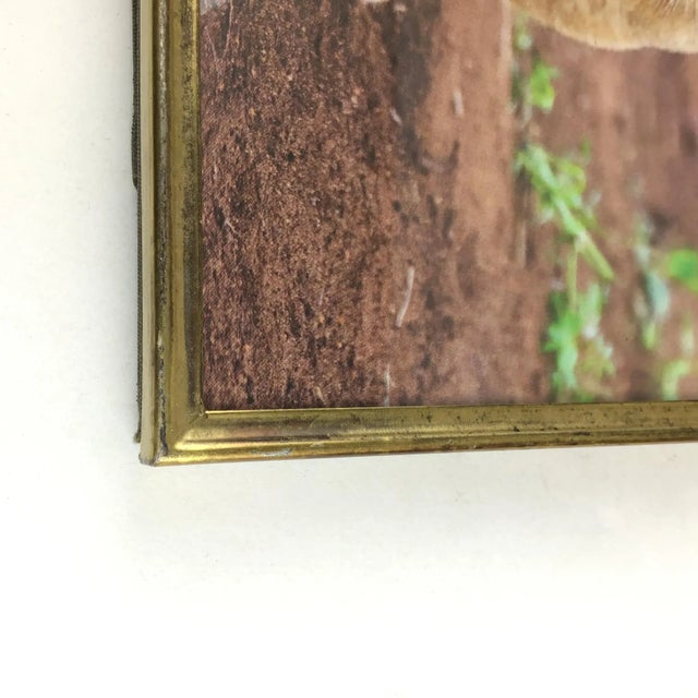 1900’s Metal Photo Frame For Sale - Image 4 of 12