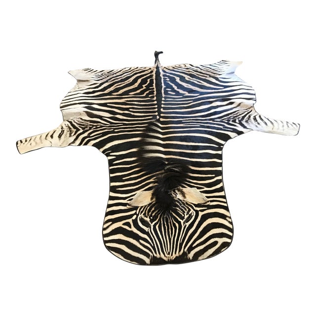 Equus Burchell Zebra Skin Rug 5′ × 8′2″ Chairish