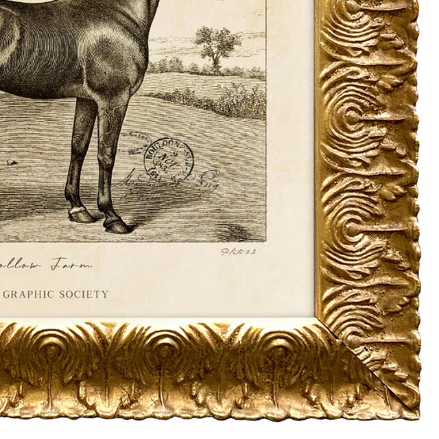 2020s Reproduction Art Print of Vintage Horse (2) in Ornate Gold Frame For Sale - Image 5 of 5
