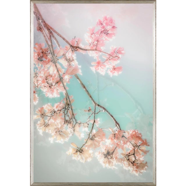 Paper On a CLoud, 75x50 Contemporary, FIne Art Photography by Kristin Hart For Sale - Image 7 of 7