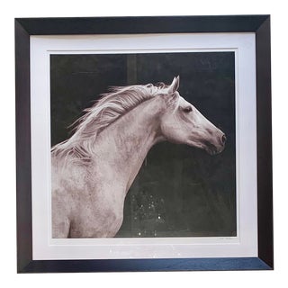 35" Square Framed and Signed Archival Open Edition Horse Photo by Susan Friedman 2014 For Sale