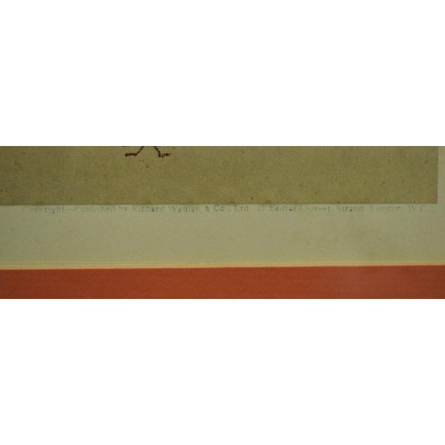 Traditional Cecil Aldin 'Activity' Polo Pony Hand-Colour Plate For Sale - Image 3 of 10