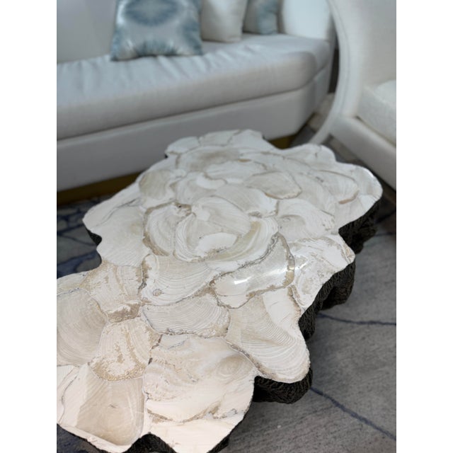 Fossilized coffee table in like-new condition. Inlaid fossilized clam shell on stonecast base made from a natural tree...