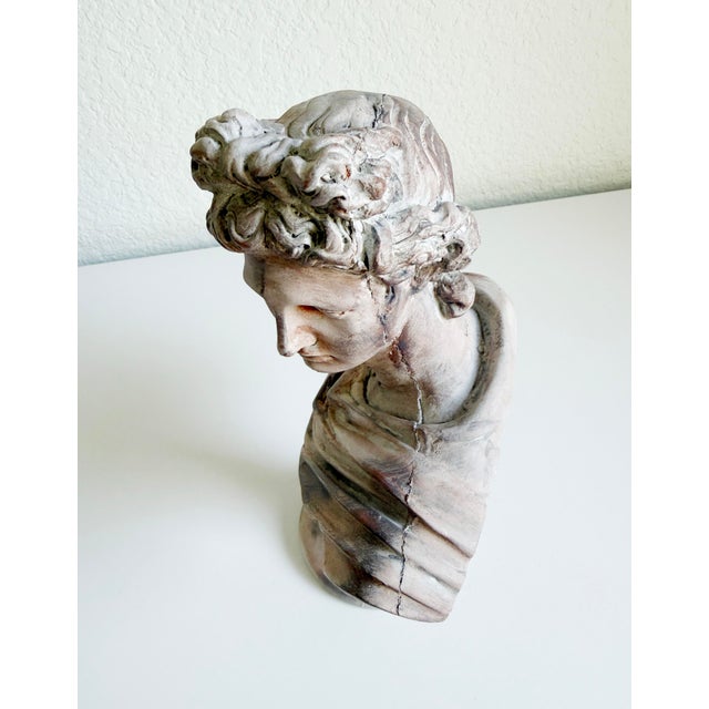 Classical Bust of Apollo Belvedere, Early 21st Century For Sale In Sacramento - Image 6 of 12