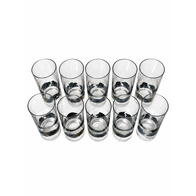 A coordinated set of ten tall drinking glasses featuring a striking floral band around the lower body. Broad, hibiscus-...