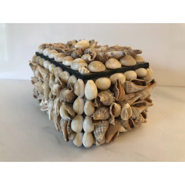 1970s Handmade Decorative Seashell Shell Box For Sale - Image 9 of 9