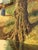 Woman in the Woods walking through trees towards Cottage in English Countryside 1960 Circa For Sale - Image 17 of 18