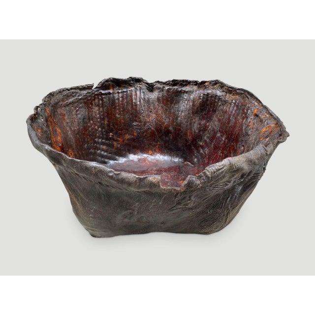 Tribal Polished Buffalo Hide Container For Sale - Image 3 of 18