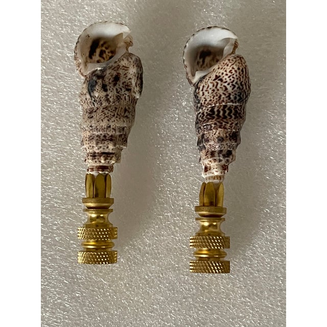 Coastal 1960s Lamp Finials Coastal Sea Shells Pair For Sale - Image 3 of 3