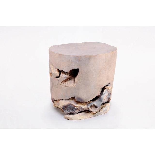 Contemporary Bleached White Teak Root Accent or Side Table or Stool 37 For Sale - Image 3 of 5